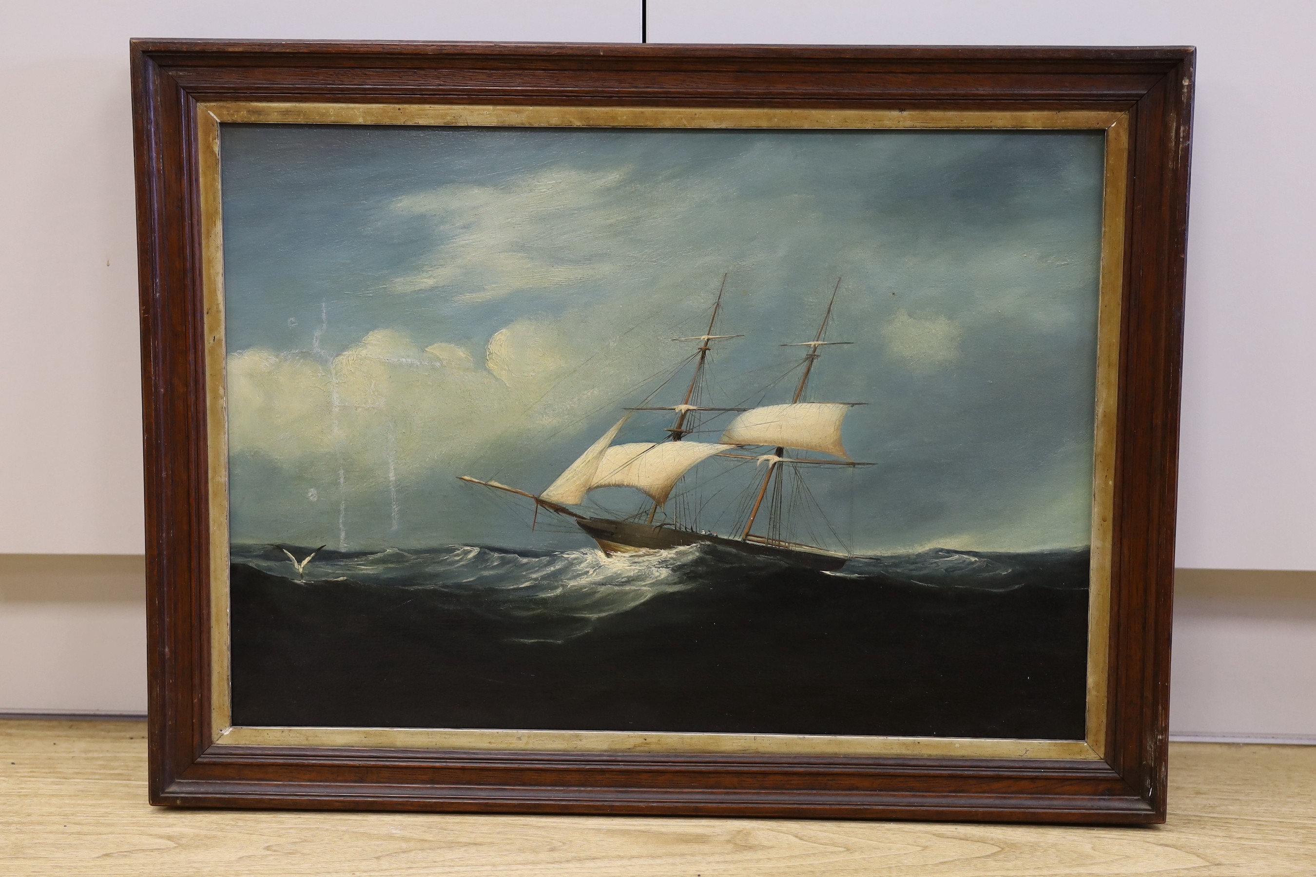 19th century Continental School, oil on canvas, Schooner at sea, 42 x 60cm
